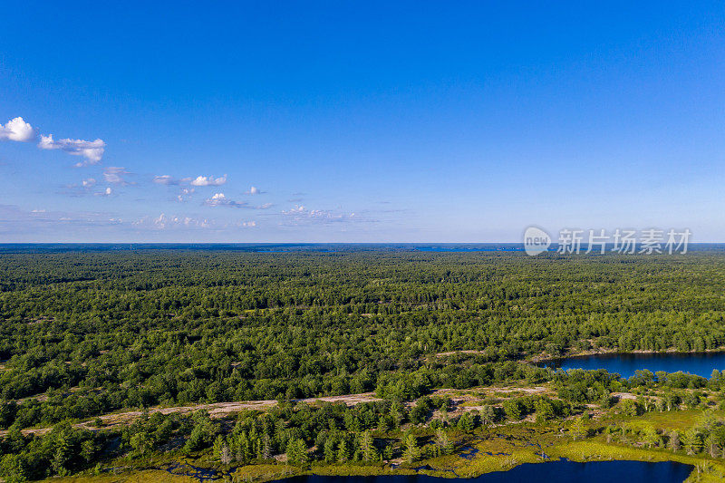 Muskoka Torrance Barrens暗天保护区和高地池塘，Gravenhurst，加拿大